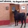 bigfasthorse
